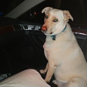 Meet your Posher, Kelley